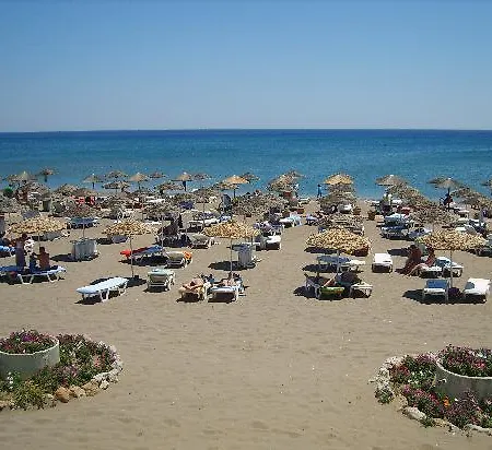 Calypso Palace Фалираки